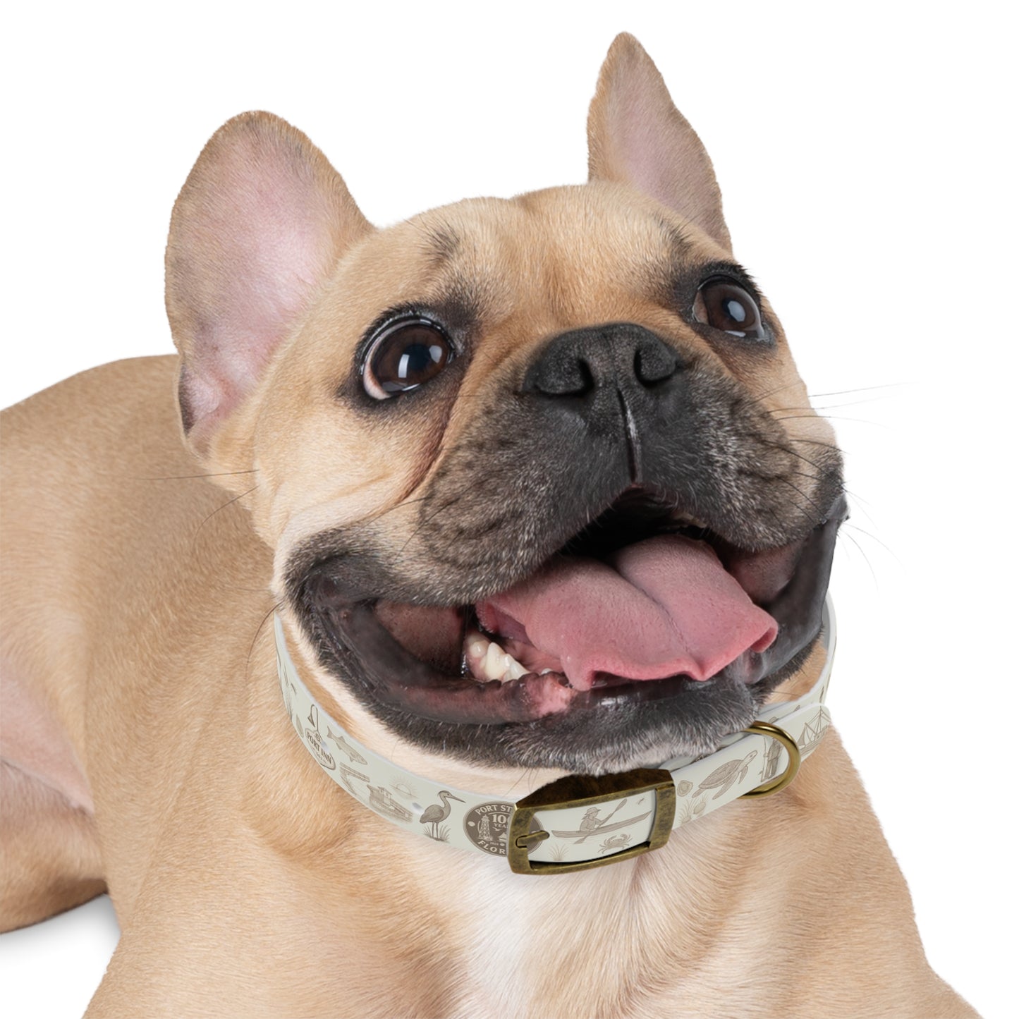 PSJ 100 years Dog Collar -