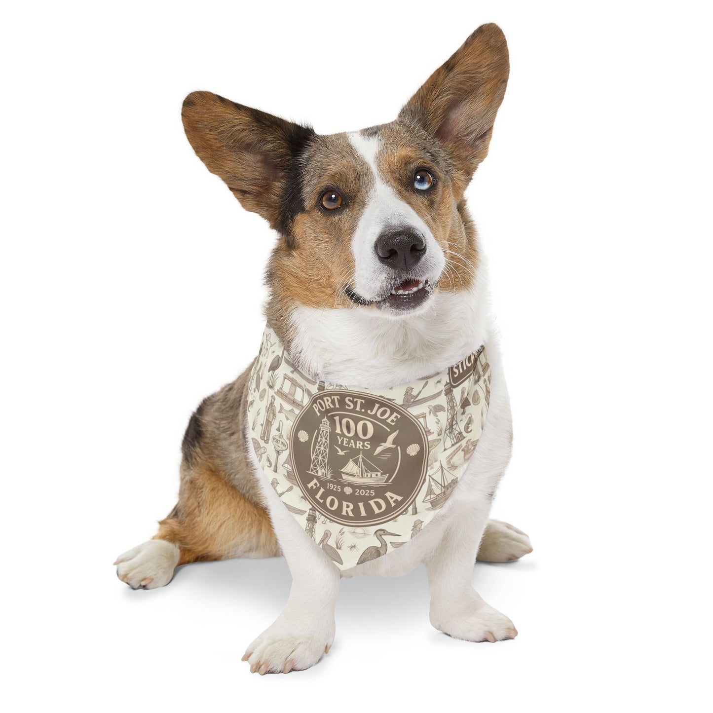Port St Joe 100 Years Anniversary Pet Bandana Collar - Vintage Sepia Tone