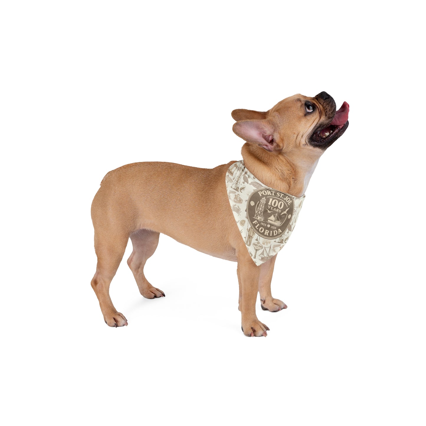 PSJ 100 yr Anniversary Pet Bandana