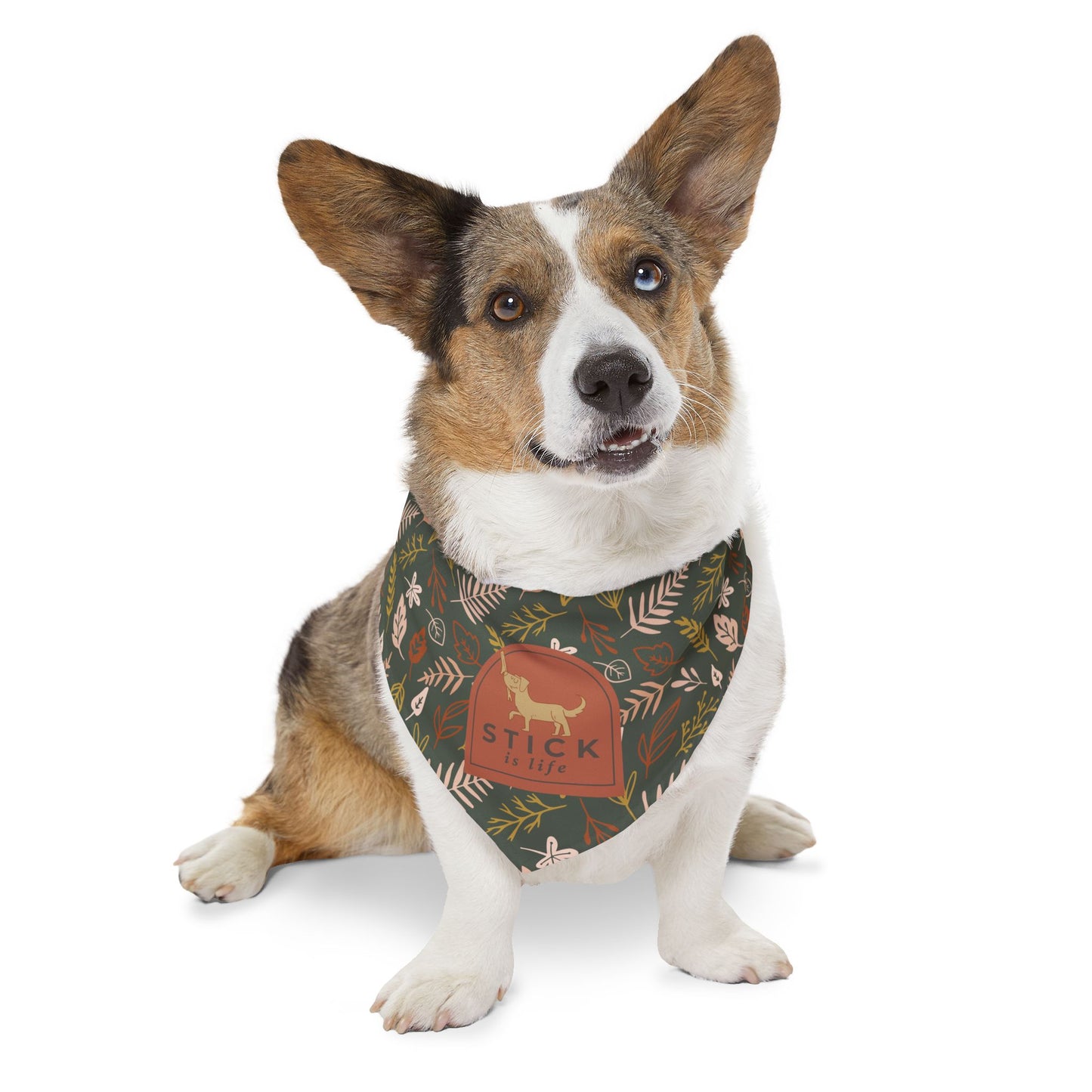 Fall Leaves Pet Bandana Collar