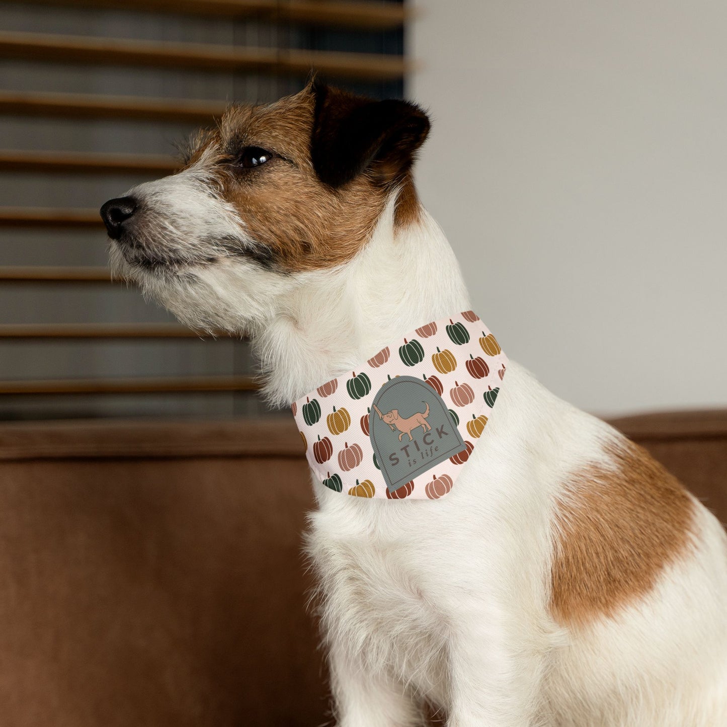 Moody Fall Pumpkin Pet Bandana Collar