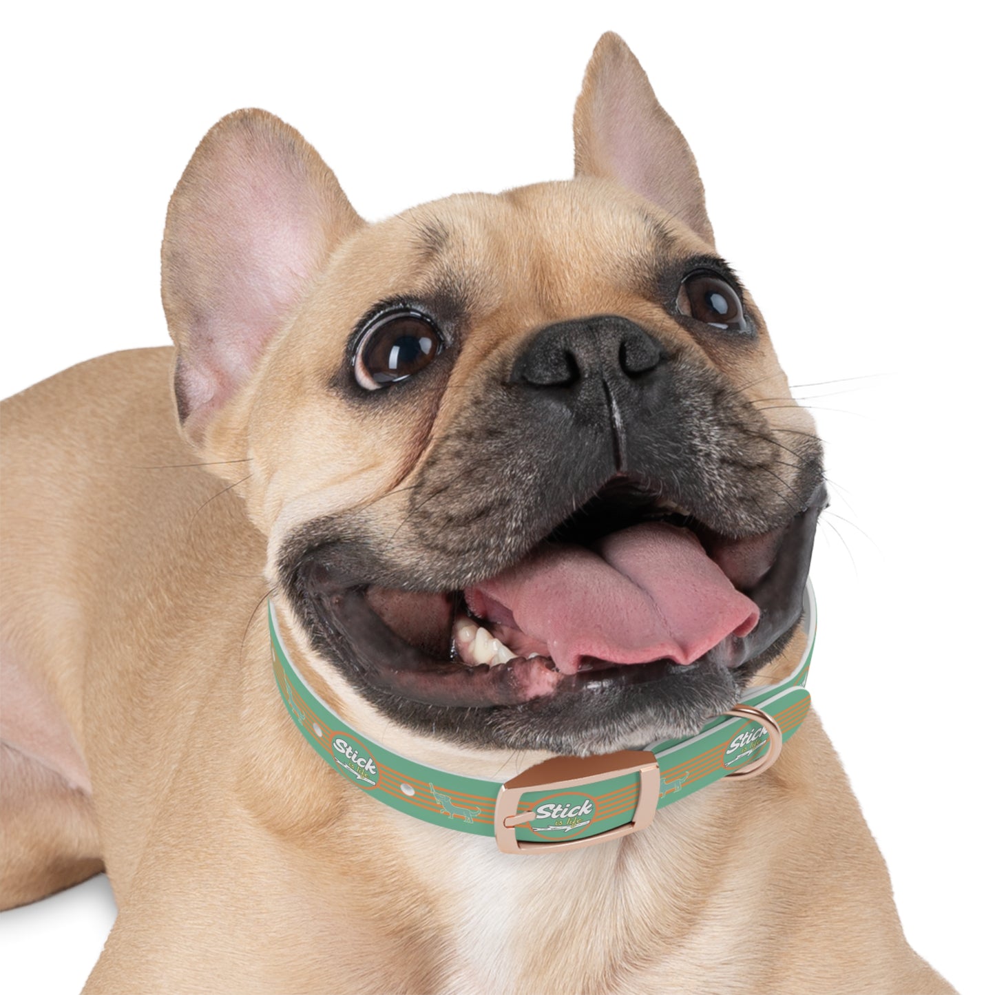 Summer Fun -Dog Collar -