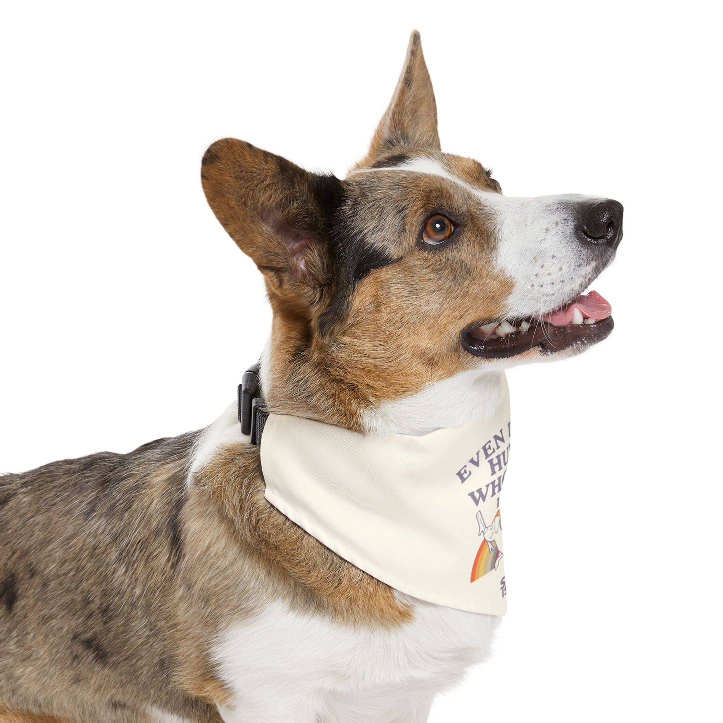 PRIDE Pet Bandana- "Hump Whoever I Want!"