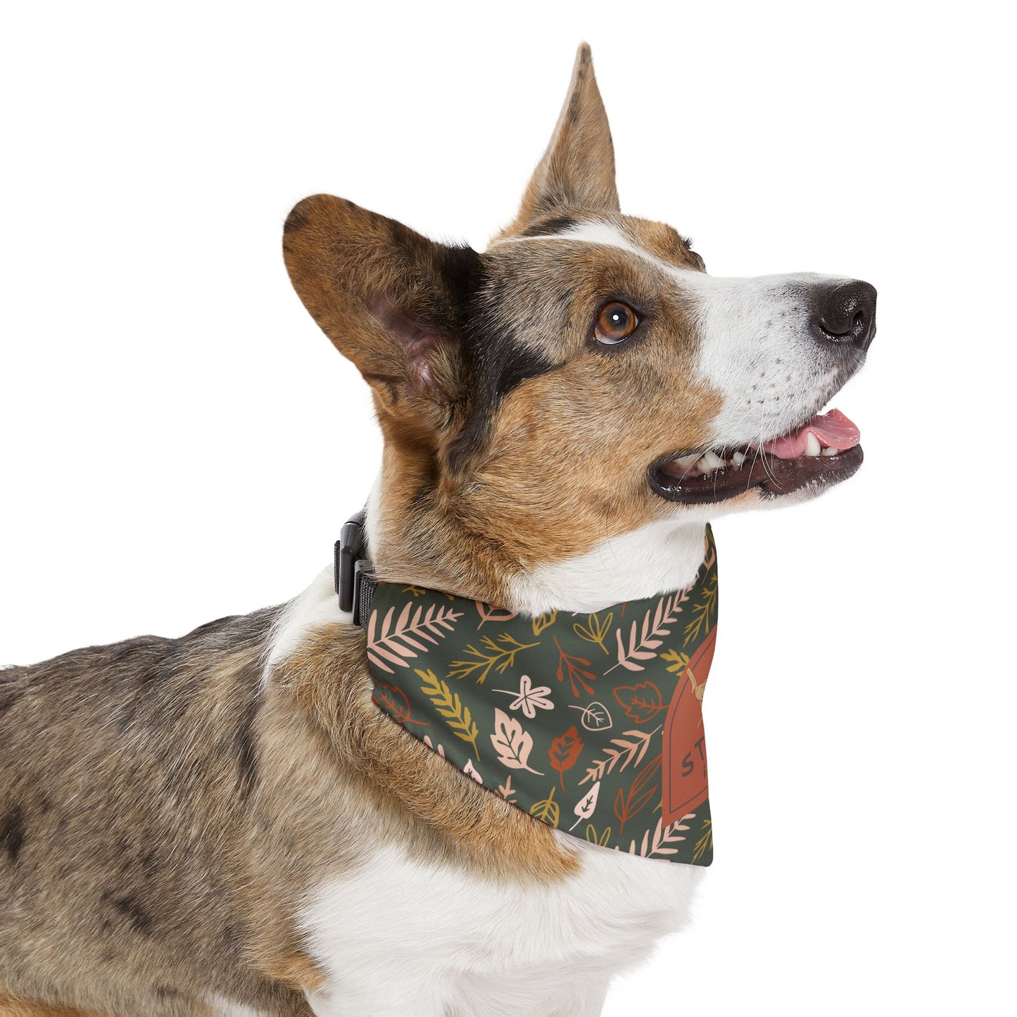 Fall Leaves Pet Bandana Collar