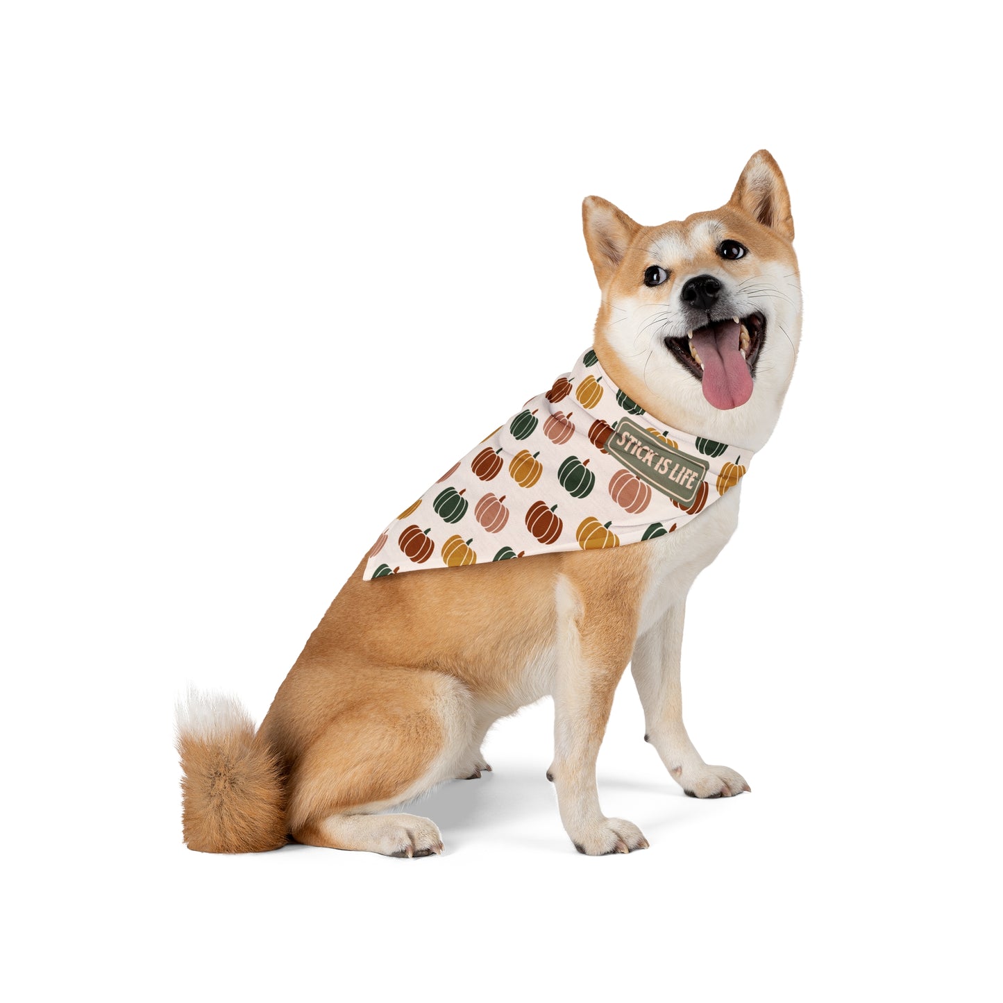 Moody Pumpkin Pet Bandana