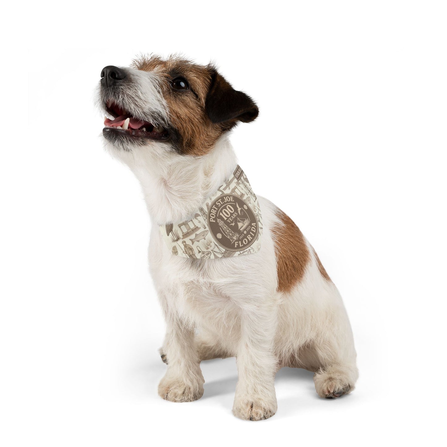 Port St Joe 100 Years Anniversary Pet Bandana Collar - Vintage Sepia Tone