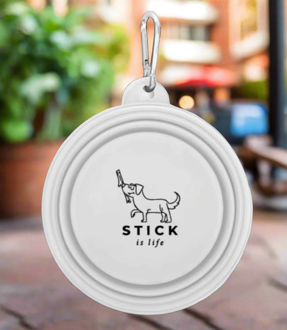 Collapsible Pet Bowl