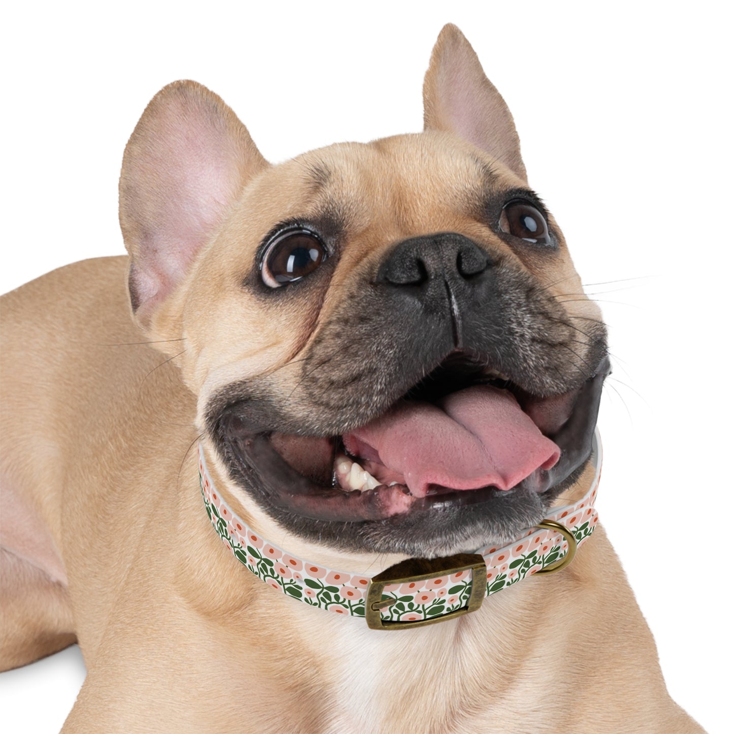 Pink Spring Floral Dog Collar