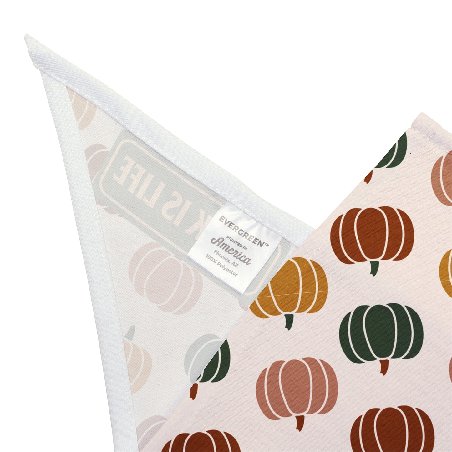 Moody Pumpkin Pet Bandana