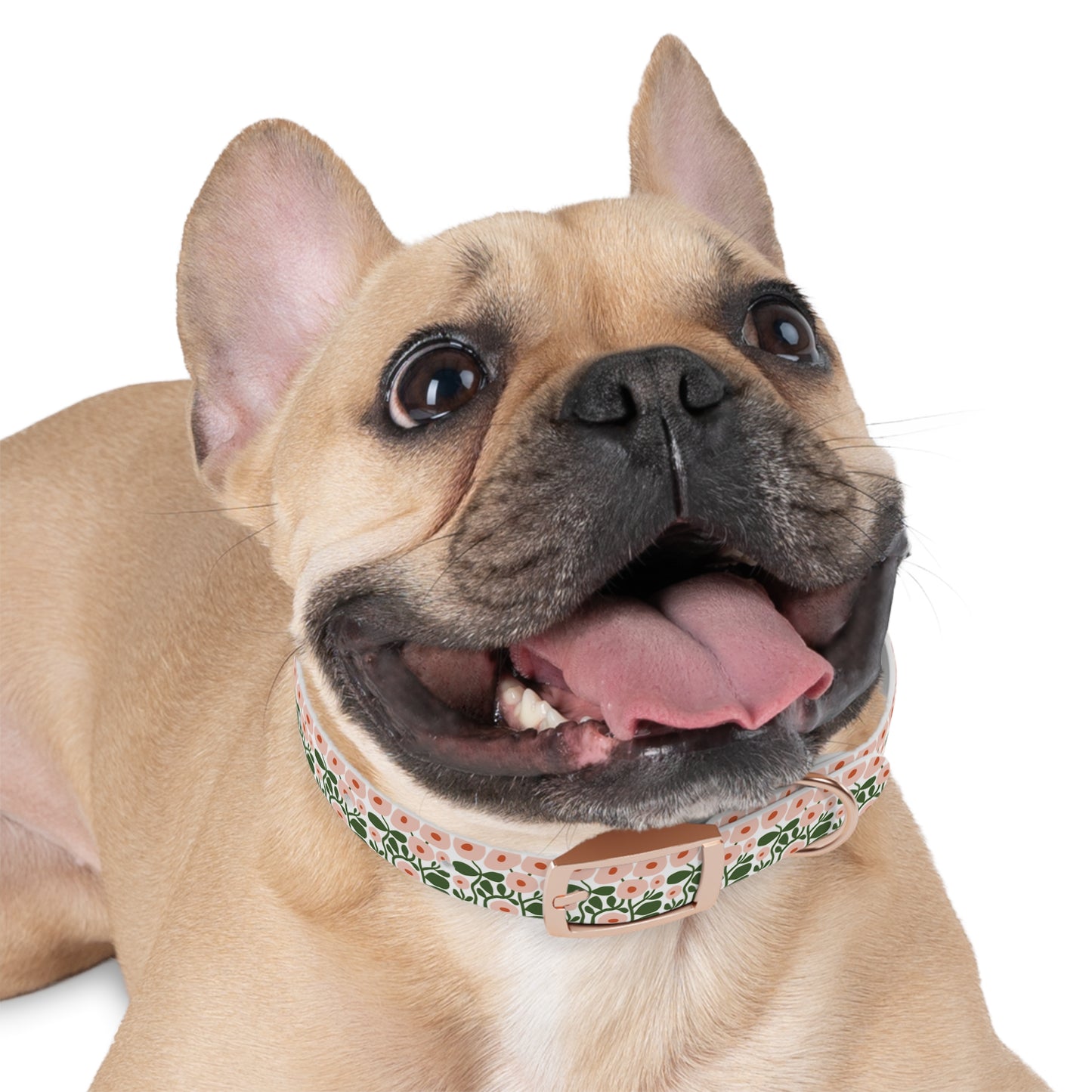 Pink Spring Floral Dog Collar