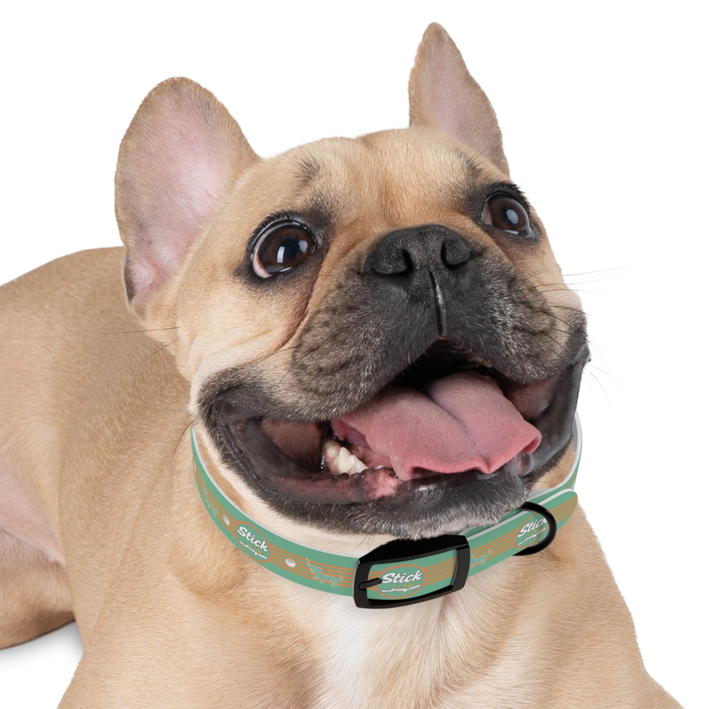 Summer Fun -Dog Collar -