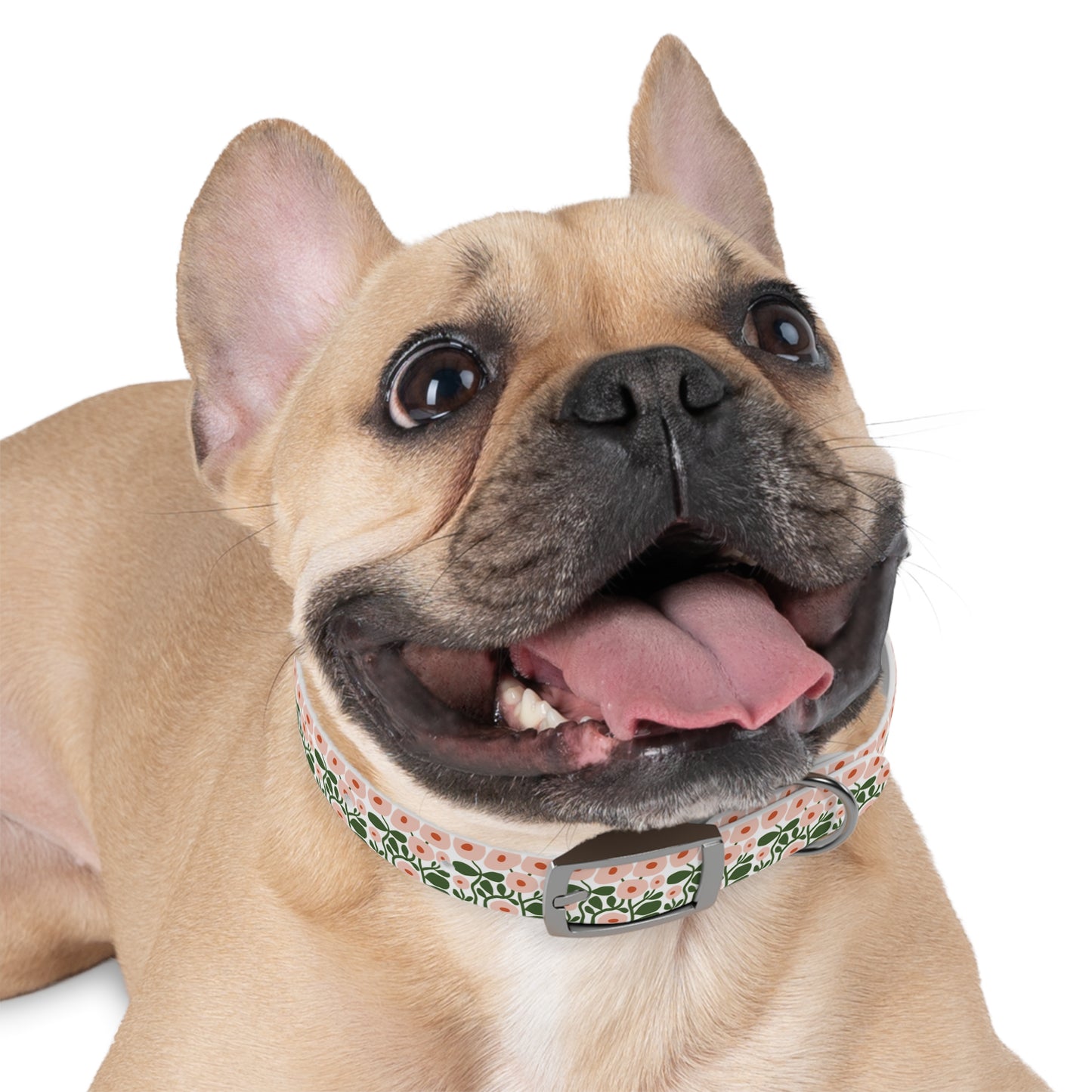 Pink Spring Floral Dog Collar