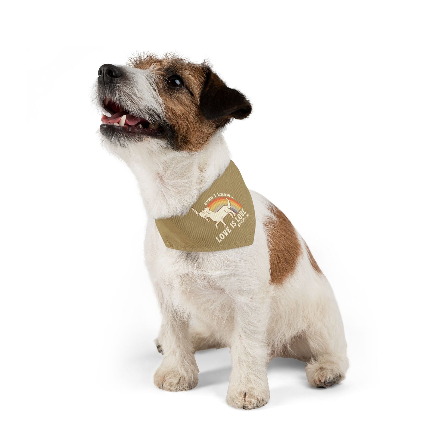 PRIDE Pet Bandana - Love is Love