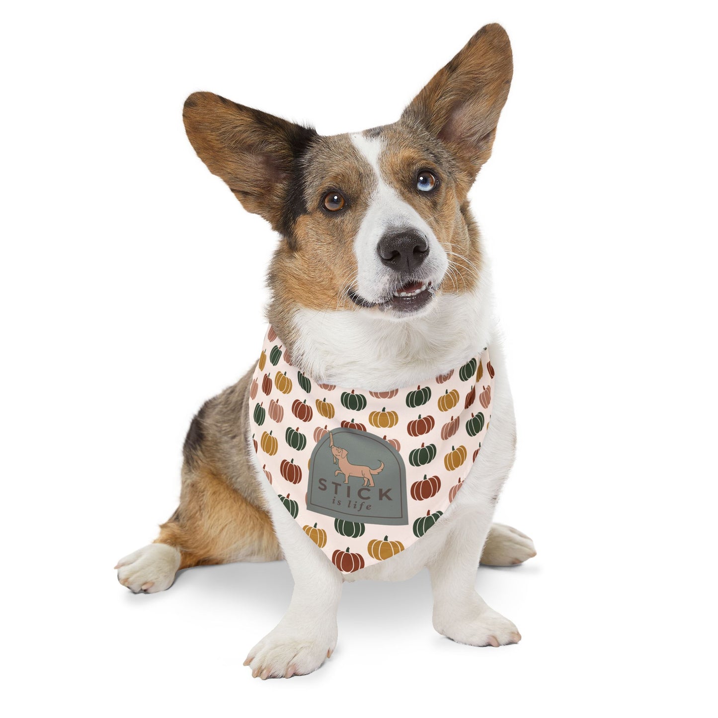 Moody Fall Pumpkin Pet Bandana Collar
