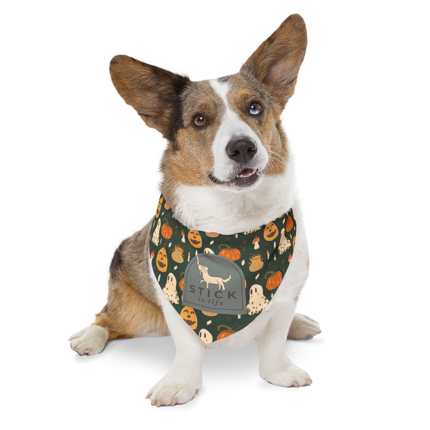 Halloween Pet Bandana Collar