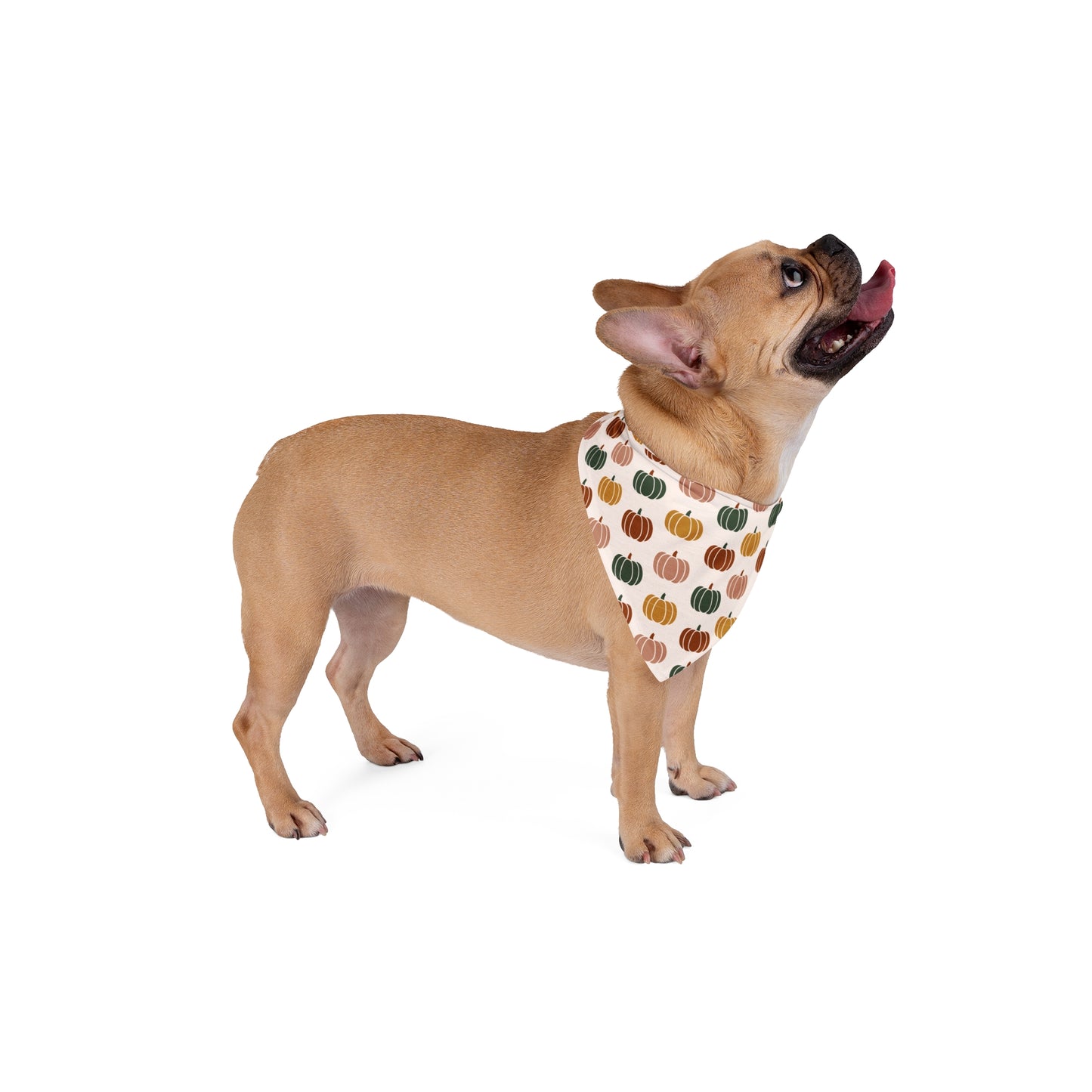 Moody Pumpkin Pet Bandana