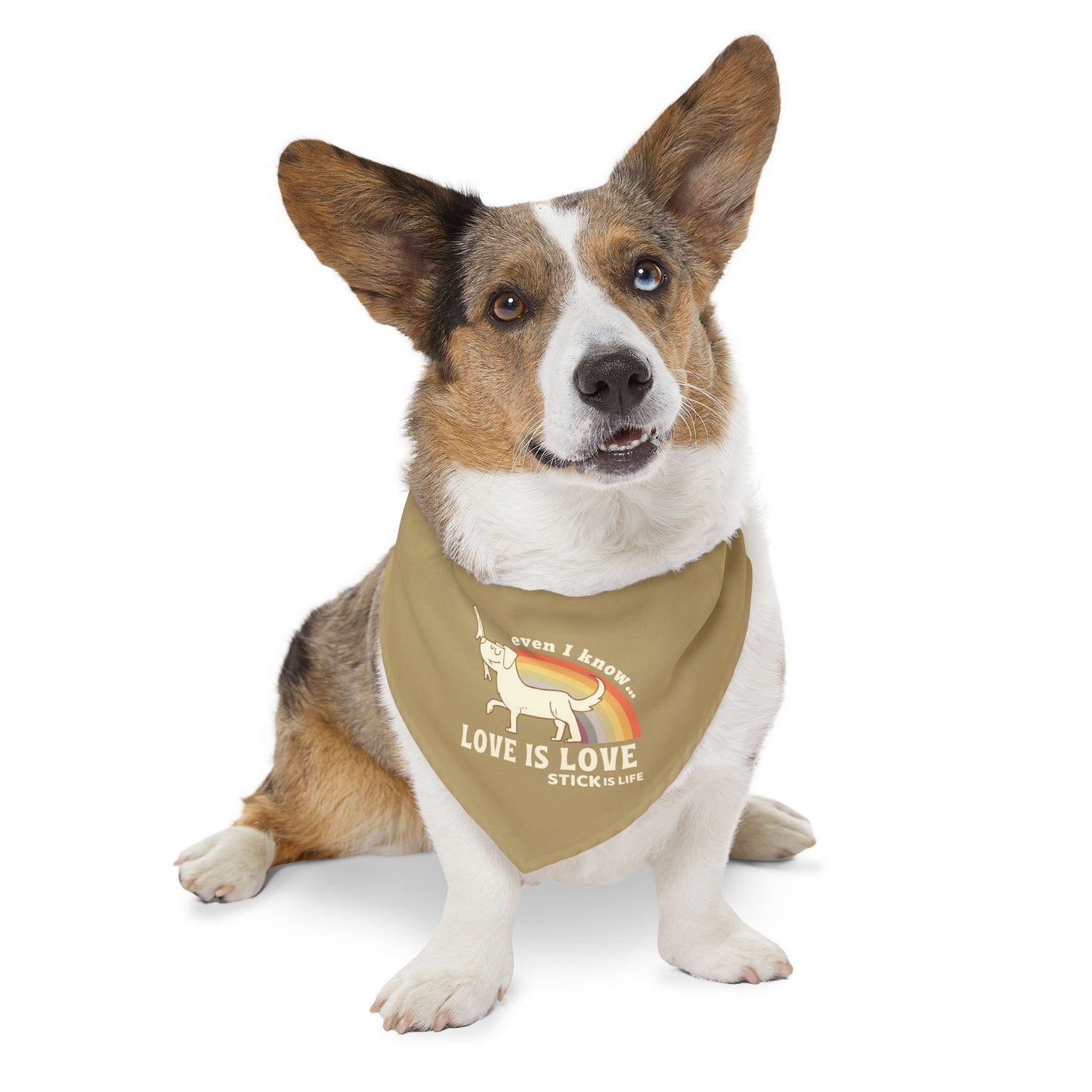 PRIDE Pet Bandana - Love is Love