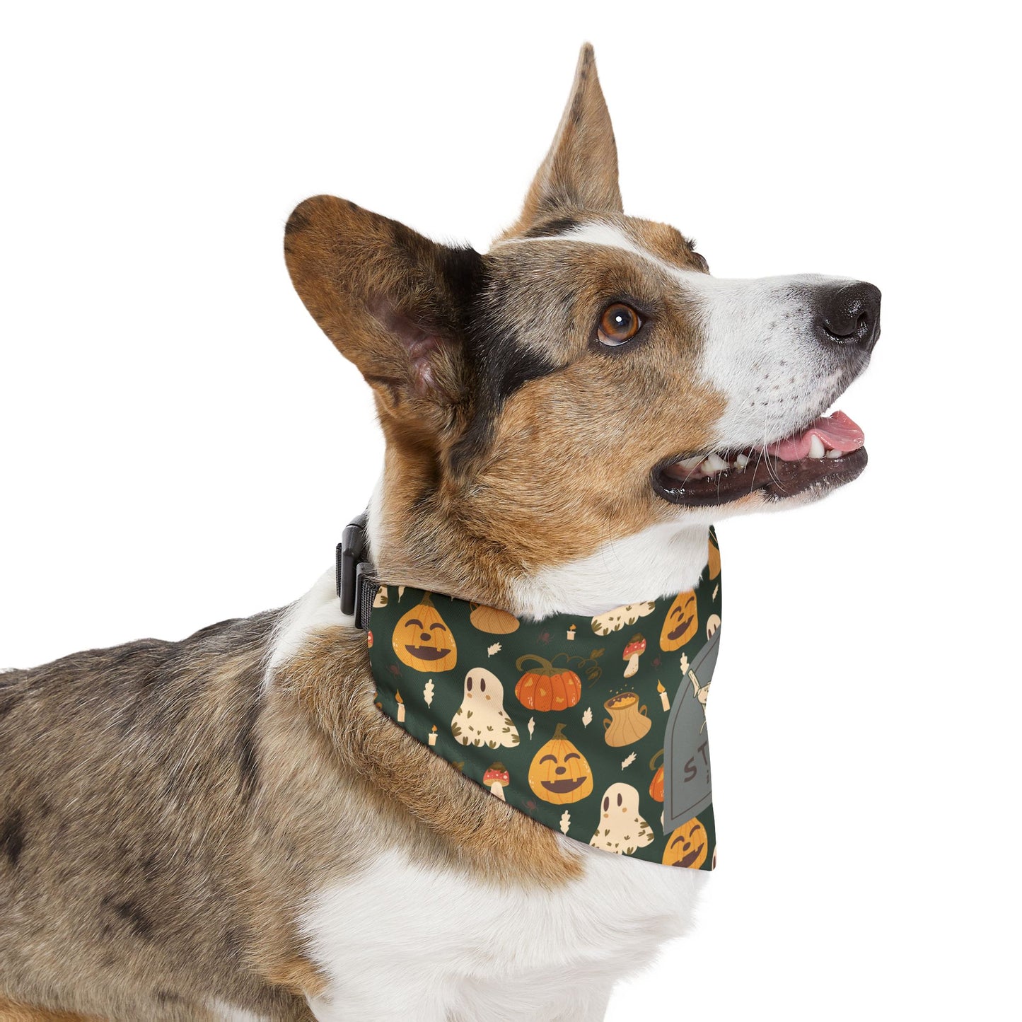 Halloween Pet Bandana Collar