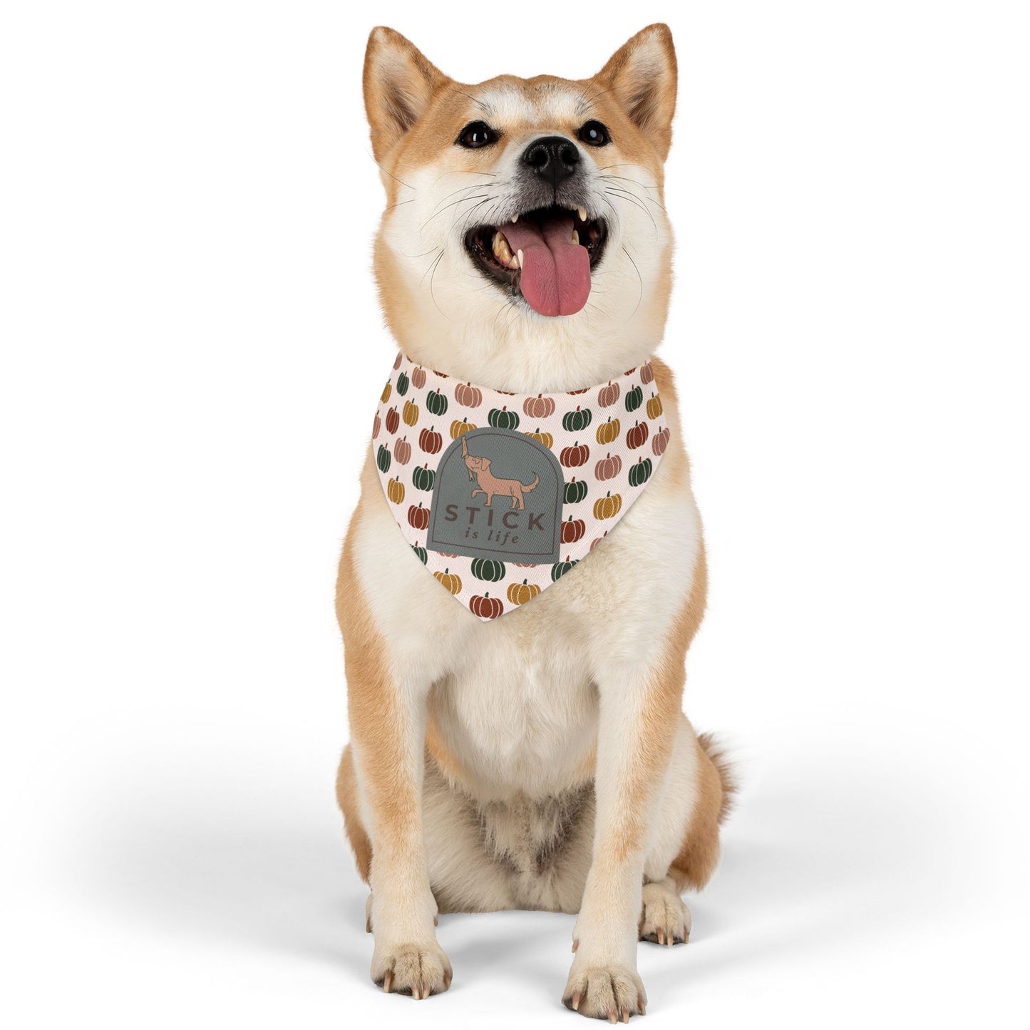 Moody Fall Pumpkin Pet Bandana Collar