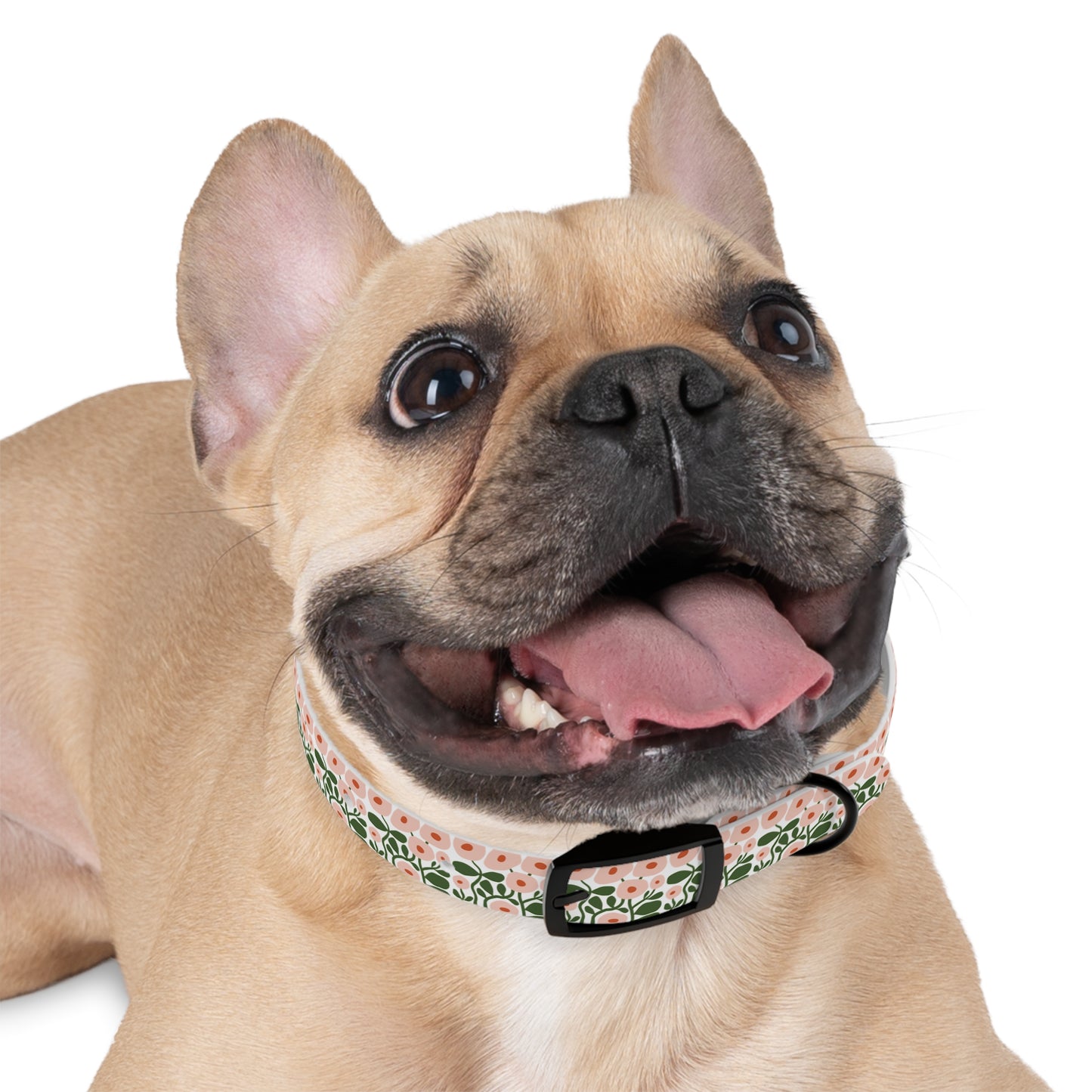 Pink Spring Floral Dog Collar