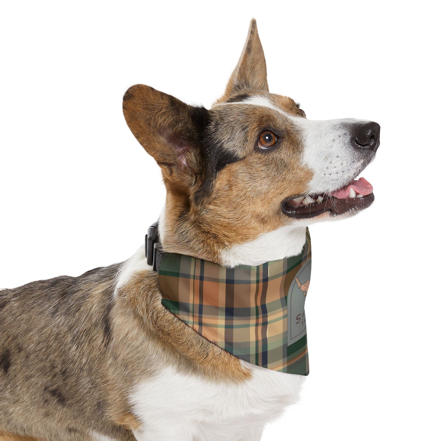Plaid Fall Pumpkin Pet Bandana Collar