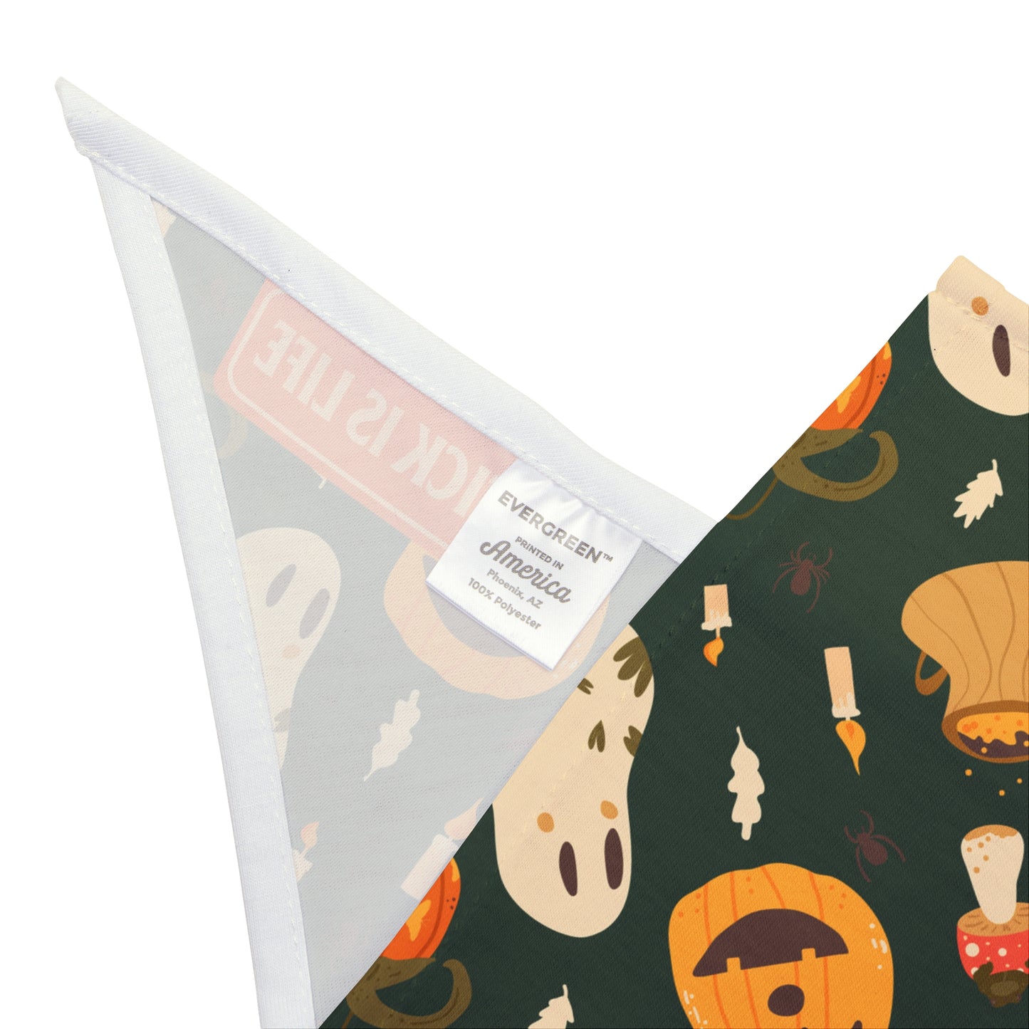 Halloween Pet Bandana