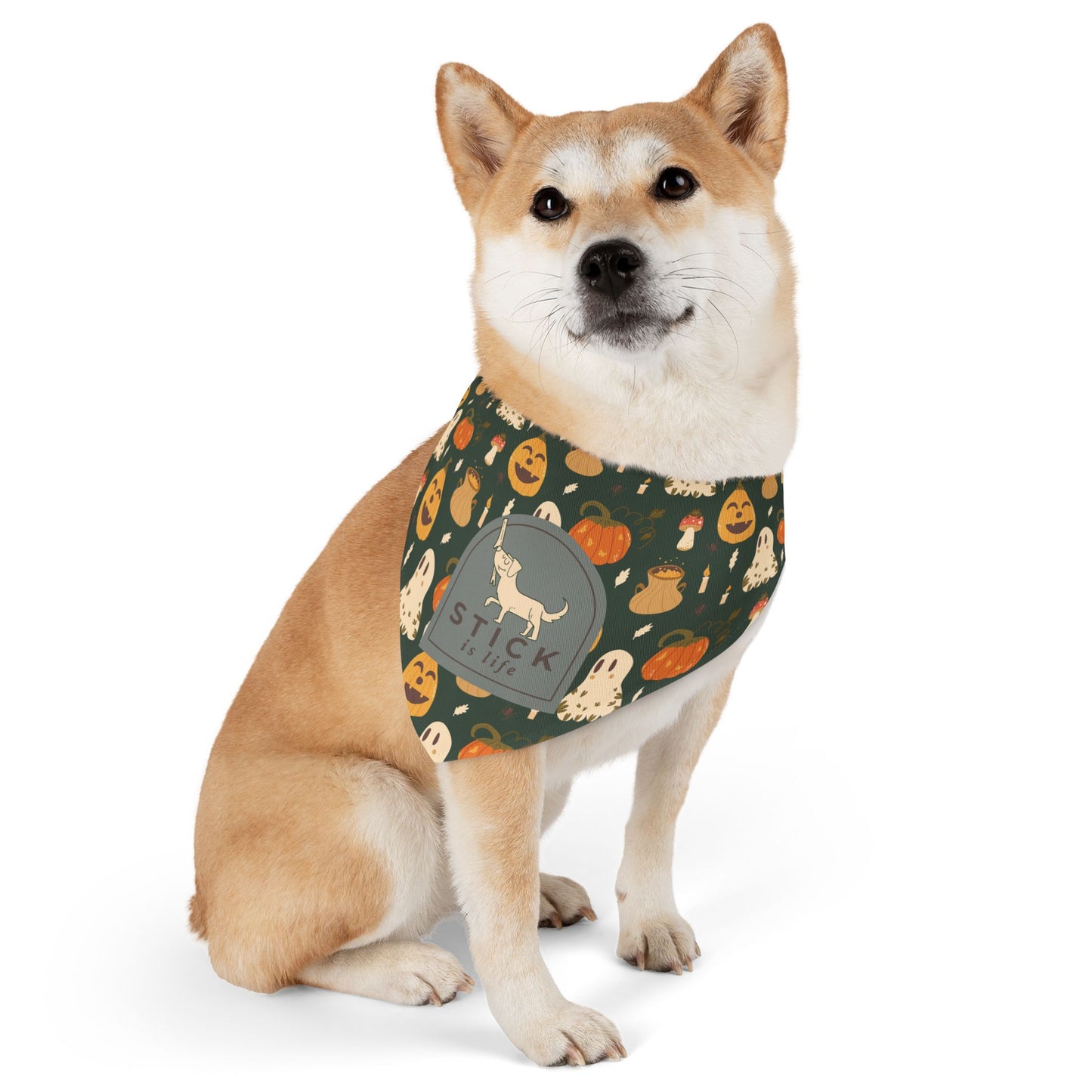 Halloween Pet Bandana Collar
