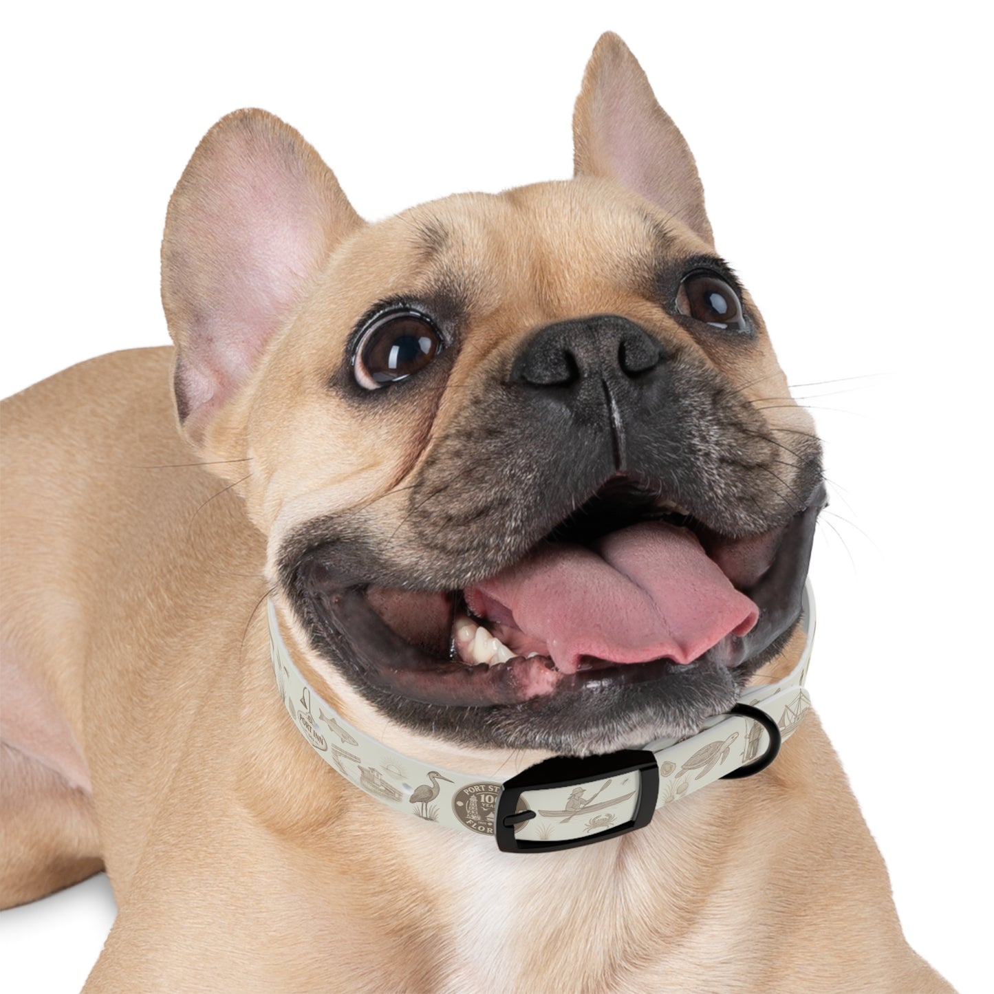 PSJ 100 years Dog Collar -