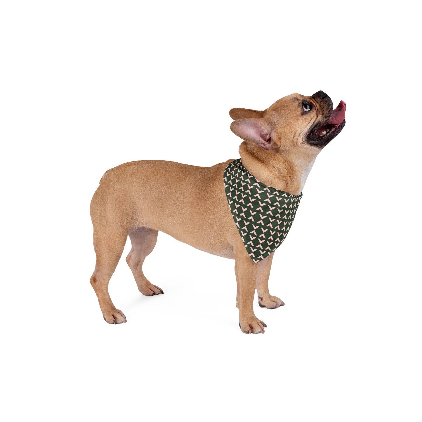 Fall Green and Mauve Pattern Pet Bandana