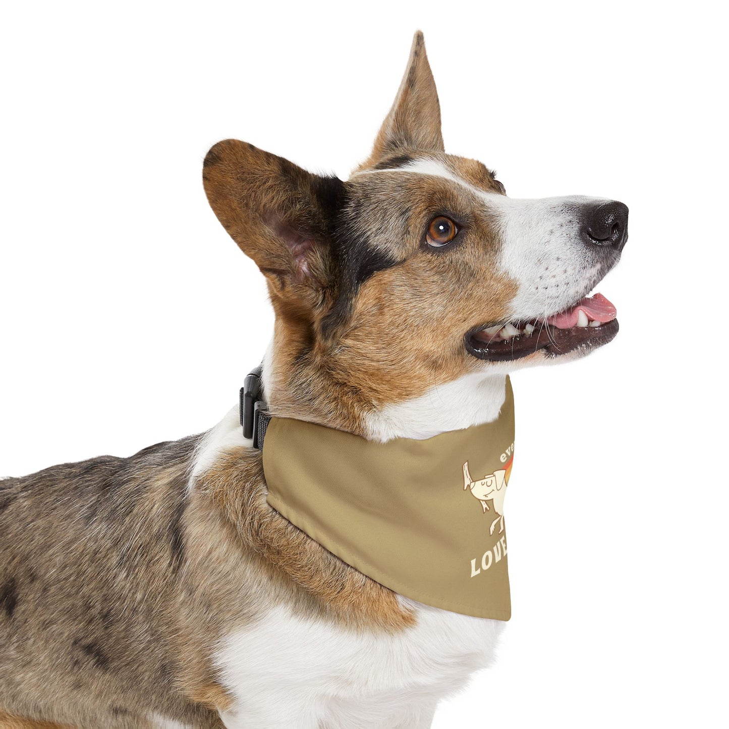 PRIDE Pet Bandana - Love is Love