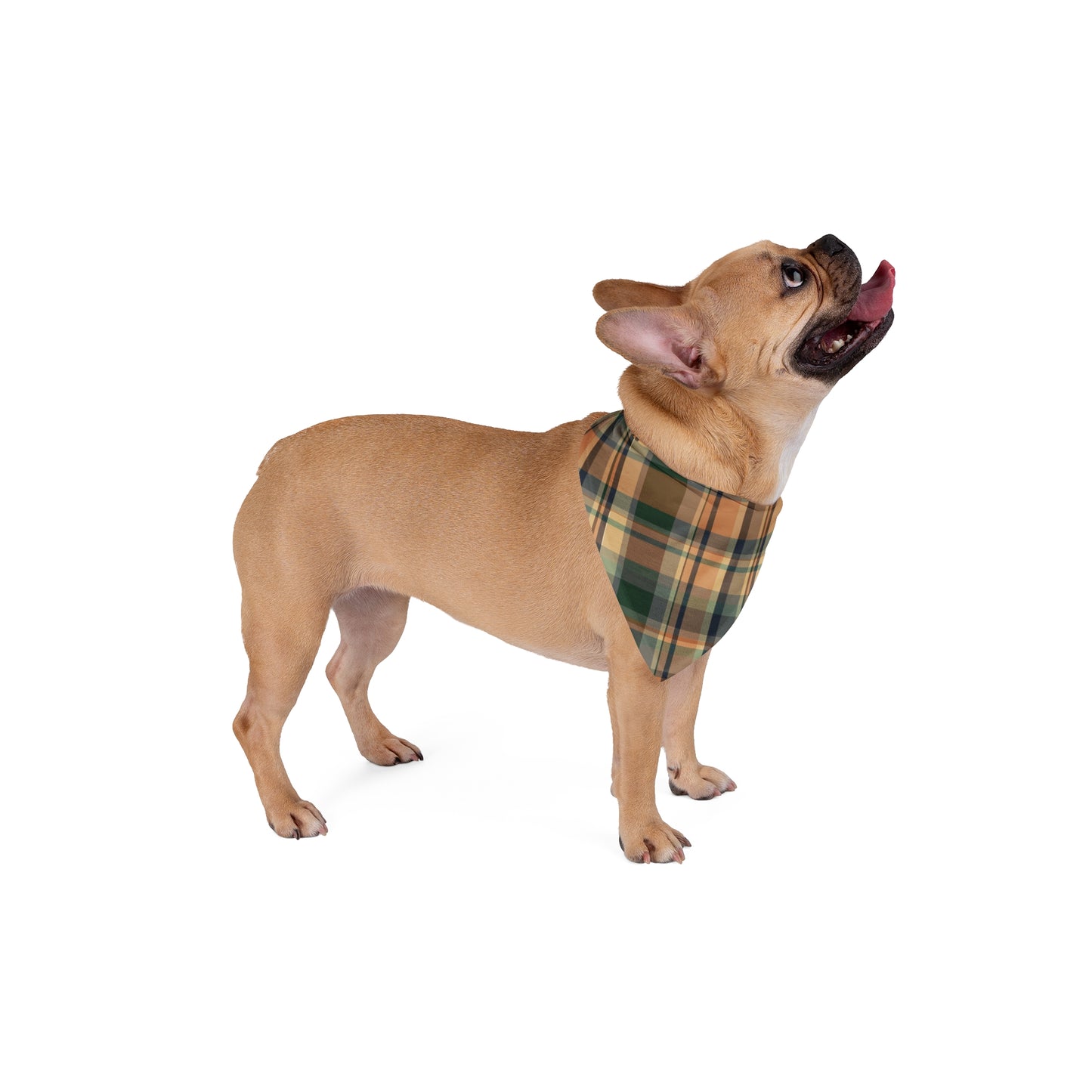 Plaid Fall Pet Bandana