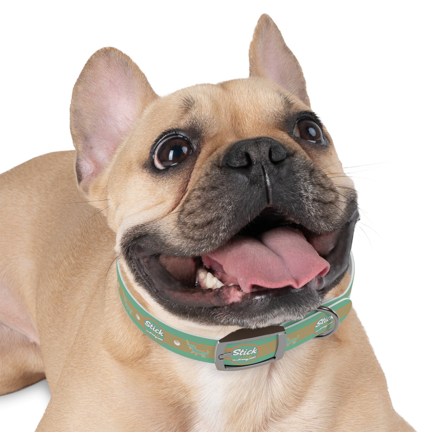 Summer Fun -Dog Collar -