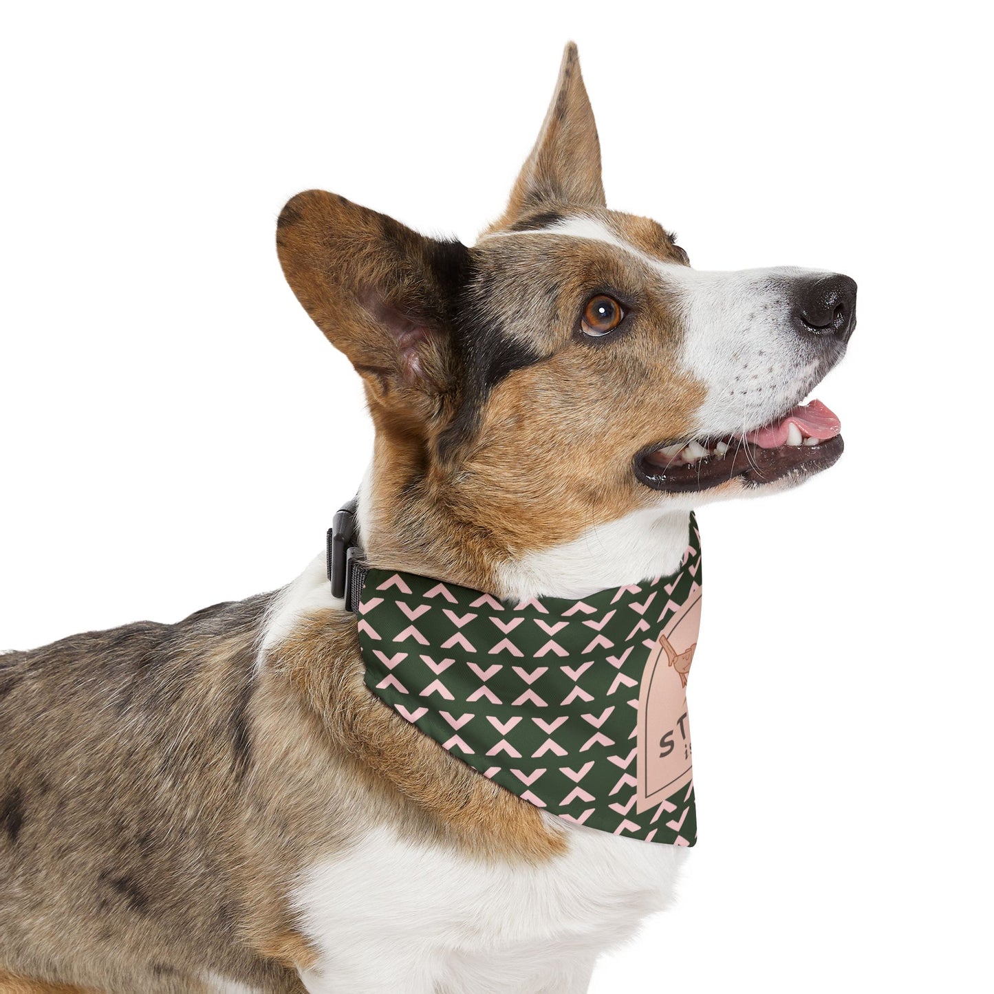 Fall Green and Mauve Pattern Pet Bandana Collar