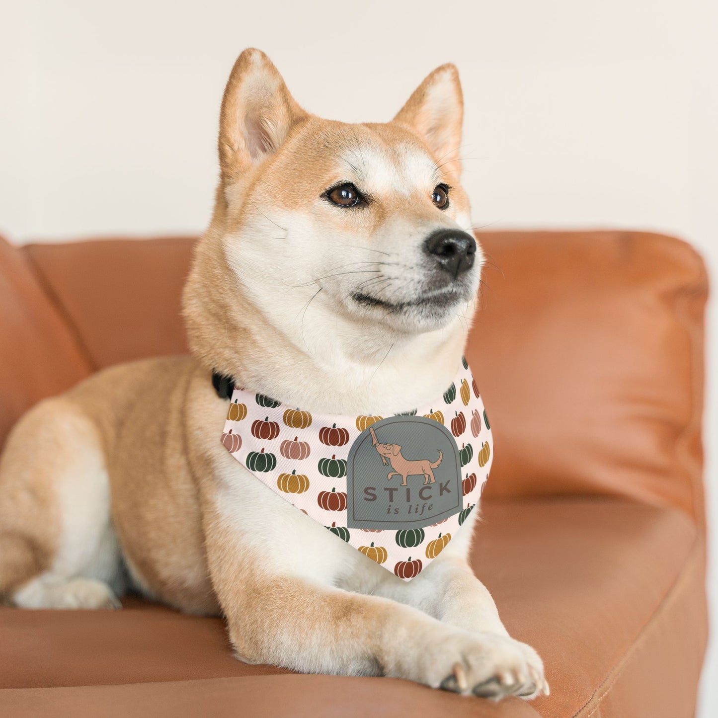 Moody Fall Pumpkin Pet Bandana Collar