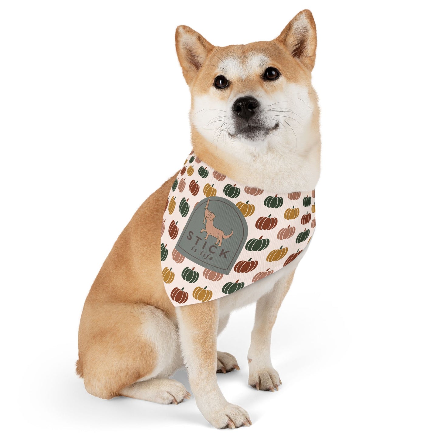 Moody Fall Pumpkin Pet Bandana Collar