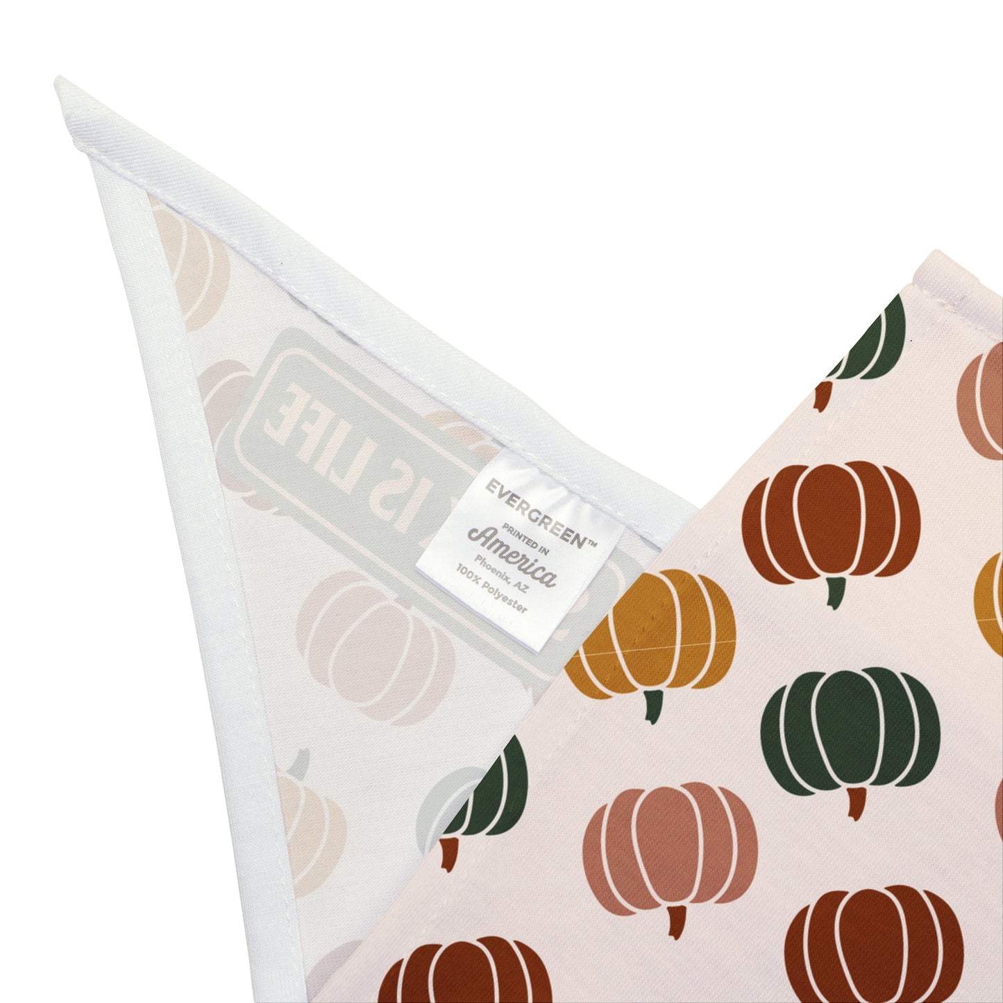 Moody Pumpkin Pet Bandana