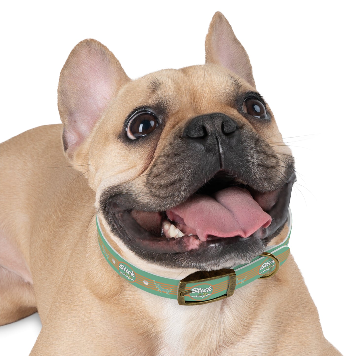 Summer Fun -Dog Collar -