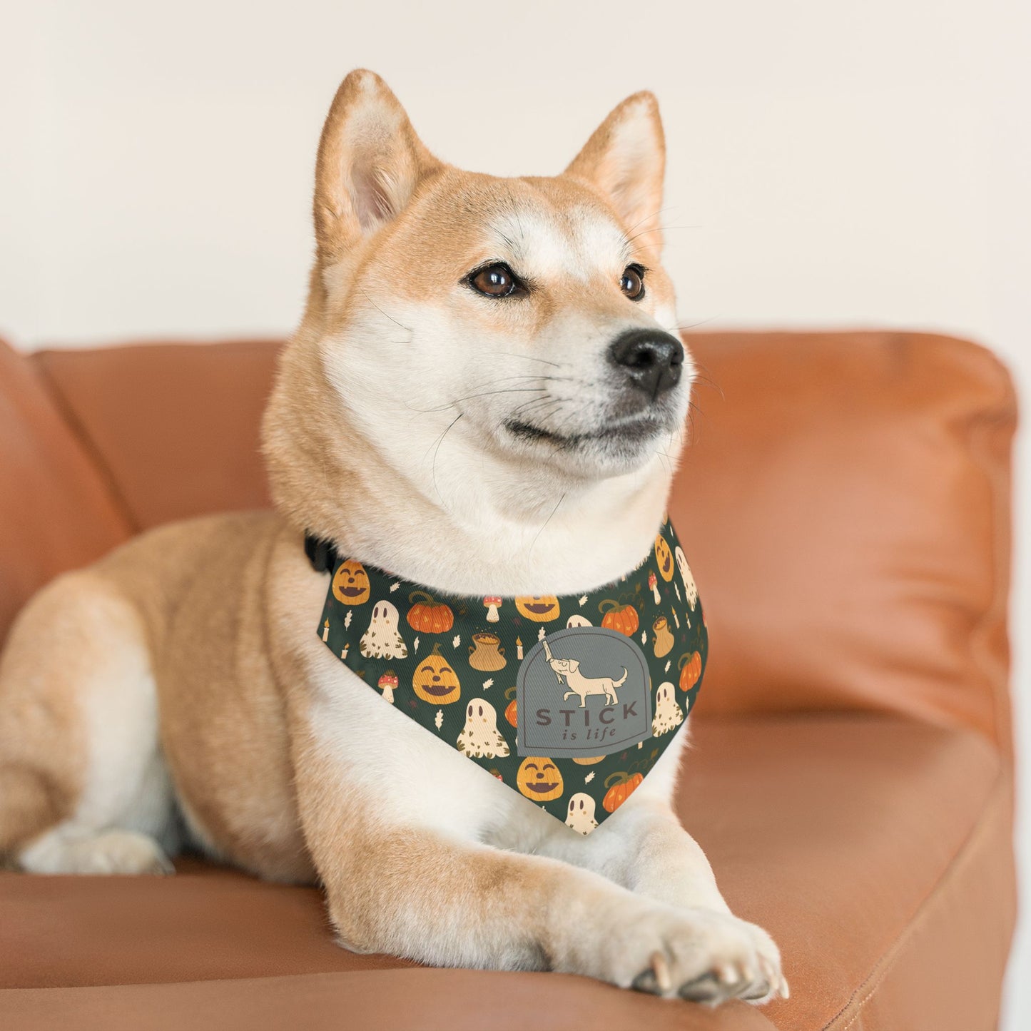Halloween Pet Bandana Collar